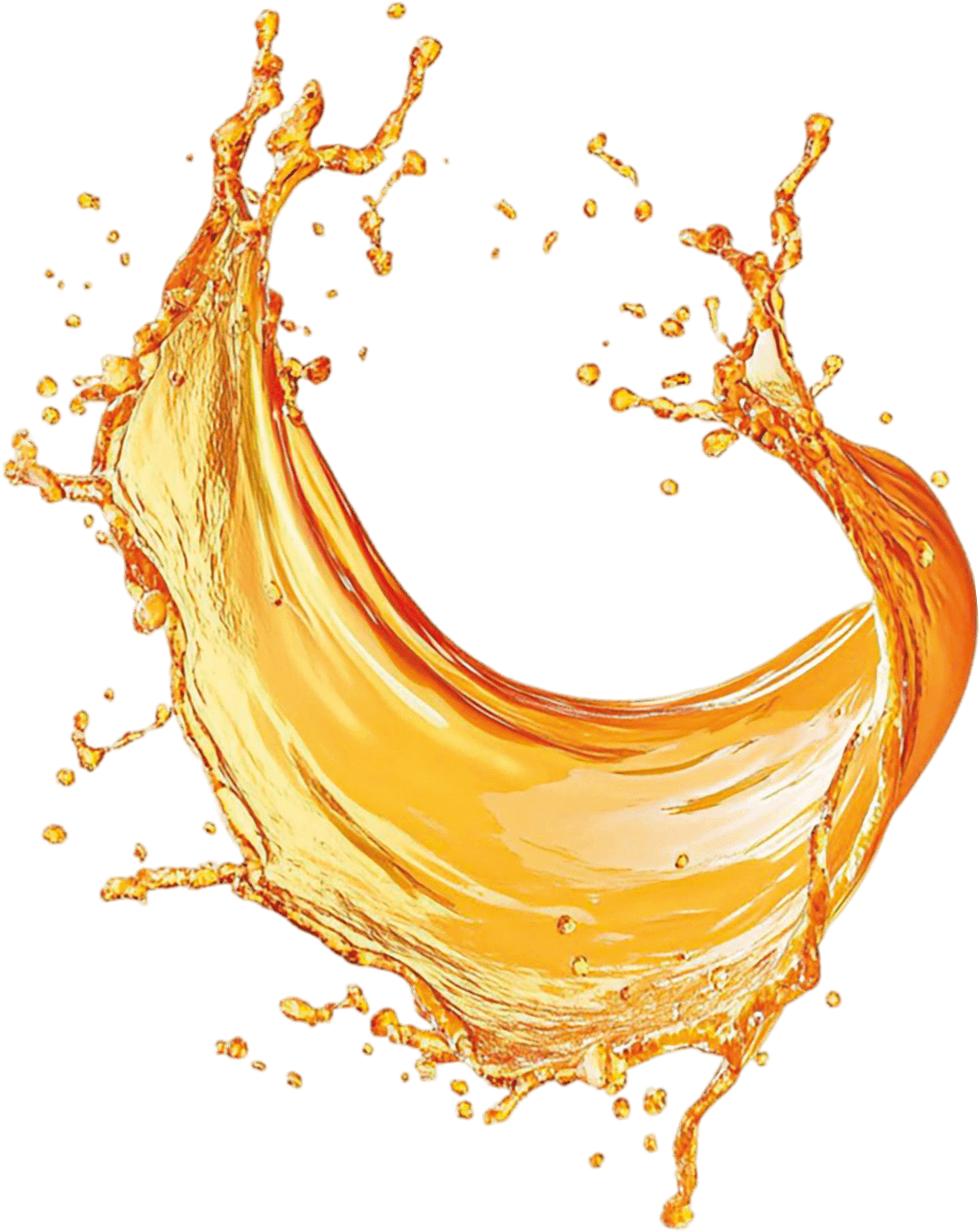 Introduction section decor image